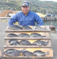 �͖쎁��(700�`1.5�s)