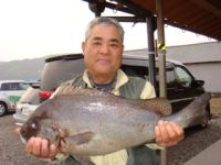 �����@�㓡����@�����傤�����R�D�T�����@�`����ۉ��`