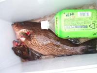 �x����̃N�[���[