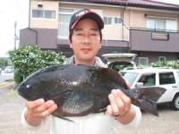 �e�r����N���@�P,�W�T�L��