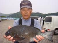 �{��@��؂���@�N���P�D�X�����@�`�r���`