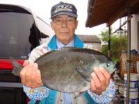 �����@��������@�N���P�D�T�����@�^����I�`�r���`<br />
