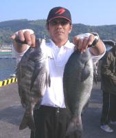  �򓇁@������(1.2kg2��)