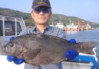 �򓇁@���ʎ�(1.7kg)