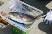 �E�X�o�n�M