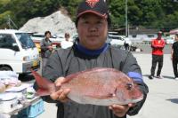 �O�c����