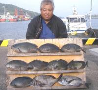  �򓇁@�͖쎁(1�`1.4�s)