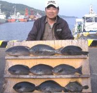 �򓇁@������(1�`1.2kg�j