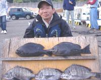 �򓇁@�؎�(1�`1.4�s)