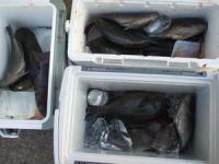 ���x�@���삳��@��コ��U�O�O�`�P,�R�L���@�P�T��