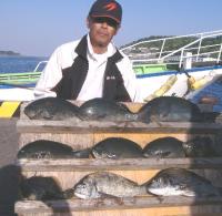 �򓇁@������(5�`1.3�s)