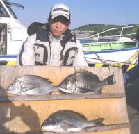 �򓇁@���ʎ�(1�`1.5kg )