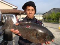 �����@���J����@�N���Q�D�P����