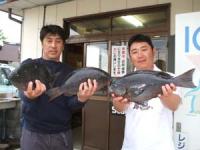 �{��@�L������@��肳��W�O�O�`�P,�T�L���@�P�O��