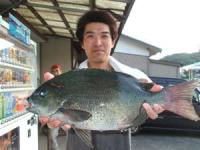 ���x�@�͖삳��@�N���@�P,�V�L��