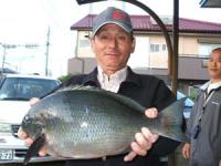 ���@���{����N���@�Q,�O�T�L��