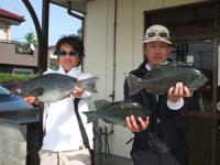 �{��@�ؖ{����@���삳��P,�P�L���`�P,�V�L��