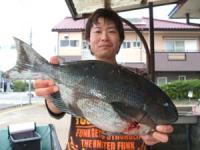 �{��@�]������@�N���@�P,�X�T�L��