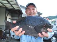 �x����N���@�P,�P�L��