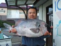 ��������C�V�_�C�@�U�Q�Z���`�@�S,�U�L��