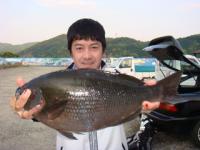 �����@�H������@�N���Q�D�Q�����@�T�O�����I�`���o�G�`