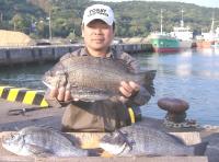 ����޴�@��(1.7�`2.5�s48cm)