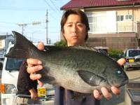 ���c����N���@�P,�R�L��