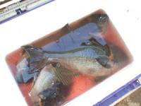 ���c����̃N�[���[�T�O�O�`�P,�R�L���@�S��