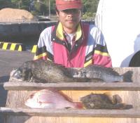 �򓇁@���쎁(1�`2�s)