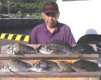 �򓇁@��{��(7�`1.4�s)