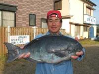 �����@��{����N���@�T�R�Z���`�@�Q,�W�L��