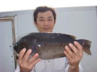 �����@�֒J����@�N���P�D�T�����H�@�`���r���`