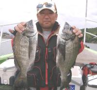  ��ʴ�@��z��(1�`1.2�s)