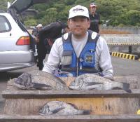 ���޴�@��z��(1�`1.7�s)