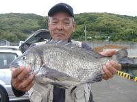 �v�ۓc�����޴�@��(2.44kg50cm)