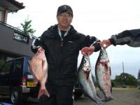 �{��@�͌�����}�_�C�@�P,�X�L���@�X�Y�L�Q,�X�L��