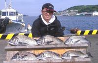 ��ʴ�@�V����(5�`1.5�s)