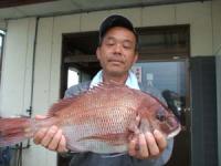 ���O�H�}�_�C�@�P,�W�L��