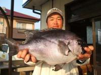 ���@�c�[����Α�@�Q,�P�L��