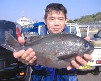 �Lʴ�@��ނ�@�R�{��(1.5kg)