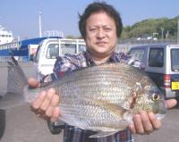 �Lʴ�@��ނ�@�R�莁(1.9kg)