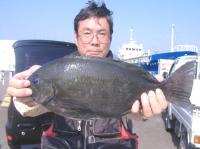 �Lʴ�@��ނ�@�C�쎁(1.4kg)