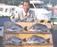 ��ʴ�@���ʎ�(1�`1.8�s�j