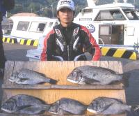 ���޴�@������(1�`1.7�s�j