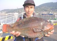 ��ʴ�@�i�c��(2.6kg)