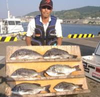 �򓇁@������(1�`1.7�s�j