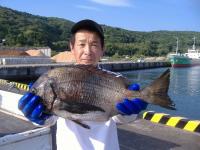 �򓇁@�ސ{��(2�s50cm�j