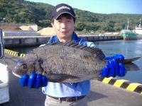 �򓇁@�ɒB��(2.3�s53cm�j