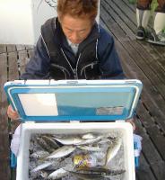 �Lʴ�@��ނ�@�y�H���@��