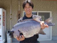 �{��@��肳��@�Α�S�D�P�����@�T�X�����I�`�����`